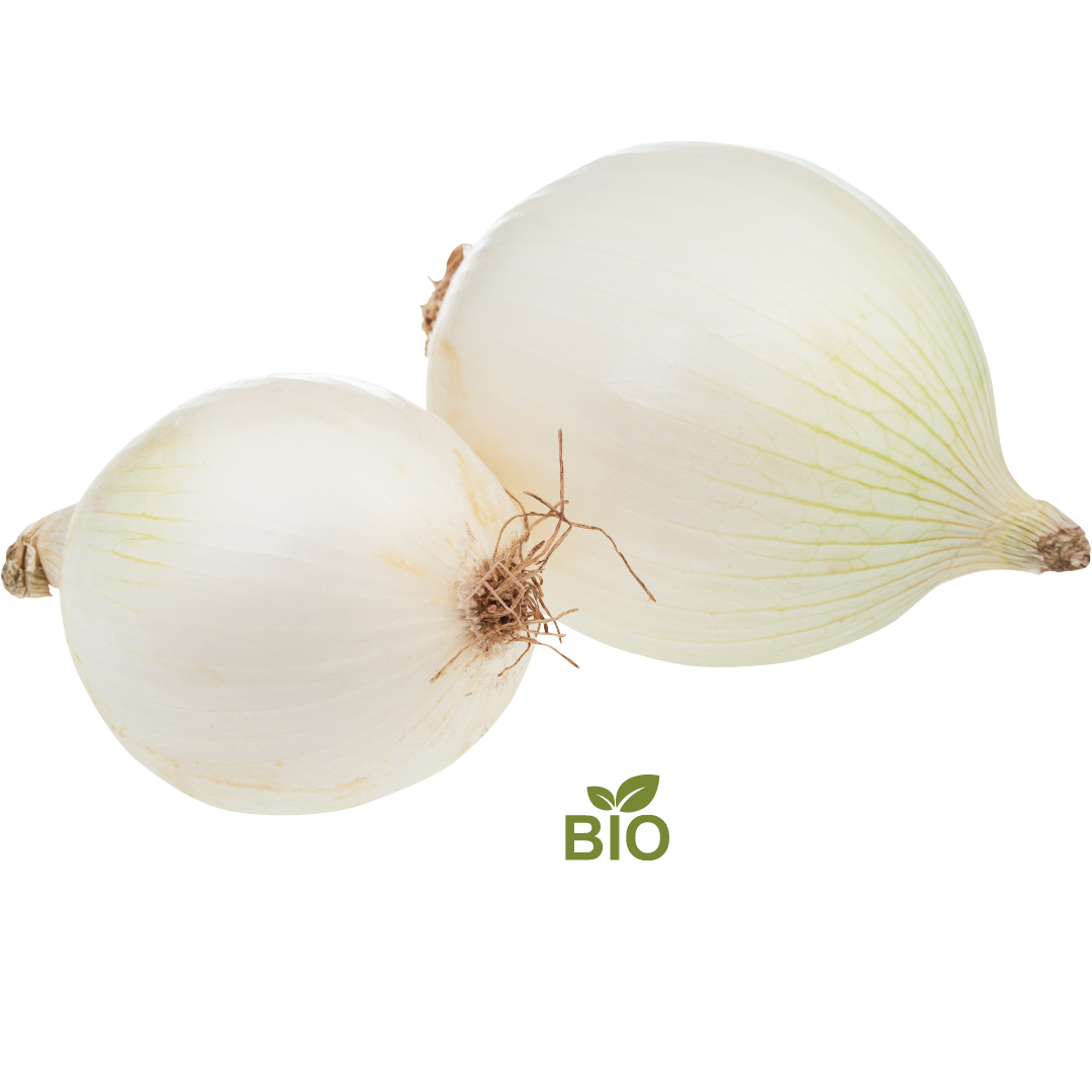 📢 NOVITÀ 👉 Cipolla bianca Bio (500gr)